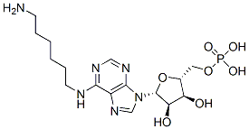 N(6)-aminohexyladenosine monophosphate Struktur