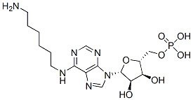 N(6)-aminohexyladenosine monophosphate 结构式