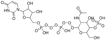 1-[5-[[[[3-acetamido-4-hydroxy-6-(hydroxymethyl)-5-sulfooxy-oxan-2-yl]oxy-hydroxy-phosphoryl]oxy-hydroxy-phosphoryl]oxymethyl]-3,4-dihydroxy-oxolan-2-yl]-2,4-dioxo-pyrimidine Structure
