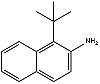 1-tert-butylnaphthalen-2-aMine|1-(叔丁基)萘-2-胺