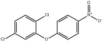 1,4-dichloro-2-(4-nitrophenoxy)benzene Structure