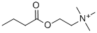 butyrylcholine Structure