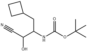 TERT-BUTYL 1-CYANO-3-CYCLOBUTYL-1-HYDROXYPROPAN-2-YLCARBAMATE|394735-20-7