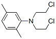 N,N-bis(2-chloroethyl)-2,5-dimethyl-aniline 化学構造式