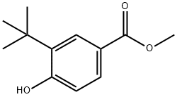 3-TERT-BUTYL-4-HYDROXYBENZOIC ACID METHYL ESTER