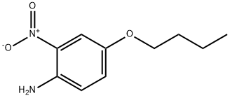 4-BUTOXY-2-NITROANILINE|4-丁氧基-2-硝基苯胺