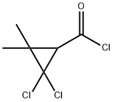 Cyclopropanecarbonyl chloride, 2,2-dichloro-3,3-dimethyl- (9CI) 结构式