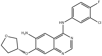 7-[(R)-(四氢呋喃-3-基)氧基]-N-(3-氯-4-氟苯基)-6-氨基-4-氨基喹唑啉 结构式