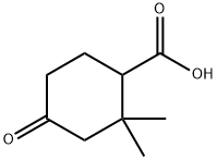 2,2-DIMETHYL-4-OXOCYCLOHEXANECARBOXYLIC ACID