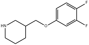 3-[(3,4-DIFLUOROPHENOXY)METHYL]PIPERIDINE Structure
