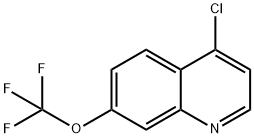 4-CHLORO-7-TRIFLUORO METHOXYQUINOLINE 化学構造式