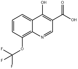 4-Hydroxy-8-trifluoromethoxyquinoline-3-carboxylic acid Structure