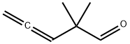 2,2-dimethylpenta-3,4-dienal|