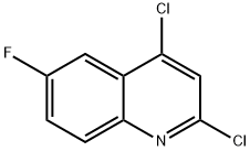 406204-74-8 2,4‐ジクロロ‐6‐フルオロキノリン