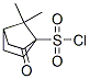 비시클로[2.2.1]헵탄-1-설포닐클로라이드,7,7-디메틸-2-옥소-(9CI)
