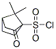 Bicyclo[2.2.1]heptane-1-sulfonyl chloride, 7,7-dimethyl-2-oxo- (9CI) 化学構造式