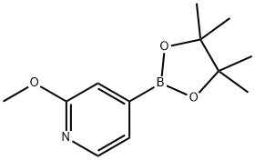 2-METHOXYLYPYRIDINE-4-BORONIC ACID PINACOLATE Structure