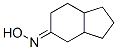 5H-Inden-5-one,octahydro-,oxime(9CI)|