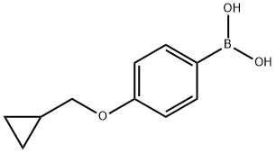 411229-67-9 4-(シクロプロピルメトキシ)フェニルボロン酸