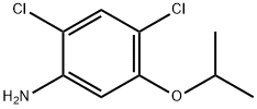 2,4-DICHLORO-5-ISOPROPOXYANILINE Structure