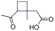 Cyclobutaneacetic acid, 2-acetyl-1-methyl- (9CI) 结构式