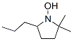 Pyrrolidine, 1-hydroxy-2,2-dimethyl-5-propyl- (9CI)|