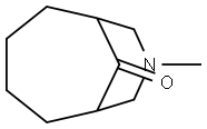 8-Methyl-8-azabicyclo[4.3.1]decan-10-one|