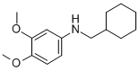 CYCLOHEXYLMETHYL-(3,4-DIMETHOXY-PHENYL)-AMINE Struktur