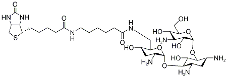 BIOTINAMIDOCAPROATE TOBRAMYCIN AMIDE, 419573-19-6, 结构式