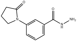 Benzoic acid, 3-(2-oxo-1-pyrrolidinyl)-, hydrazide (9CI) Structure