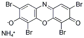 LACMOID Struktur