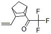 Ethanone, 1-(5-ethenylbicyclo[2.2.1]hept-2-yl)-2,2,2-trifluoro- (9CI)|