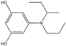 1,3-Benzenediol, 5-[(1-methylpropyl)propylamino]- (9CI) 化学構造式