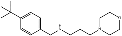 (4-TERT-BUTYL-BENZYL)-(3-MORPHOLIN-4-YL-PROPYL)-AMINE|N-(4-(叔丁基)苄基)-3-吗啉代丙-1-胺