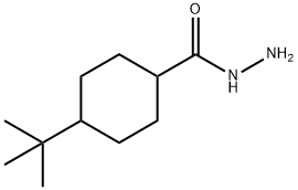 4-叔丁基-1-环己烷卡巴肼, 438531-50-1, 结构式