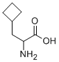4426-06-6 2-アミノ-3-シクロブチルプロパン酸