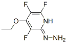 2(1H)-Pyridinone,4-ethoxy-3,5,6-trifluoro-,hydrazone(9CI) Struktur