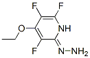 2(1H)-Pyridinone,4-ethoxy-3,5,6-trifluoro-,hydrazone(9CI),445465-80-5,结构式