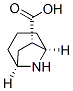 8-Azabicyclo[3.2.1]octane-6-carboxylicacid,(1S,5R,6S)-(9CI)|