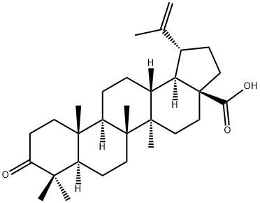 4481-62-3 3-オキソルパ-20(29)-エン-28-酸