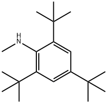 2,4,6-TRI-TERT-BUTYL-N-METHYLANILINE 化学構造式