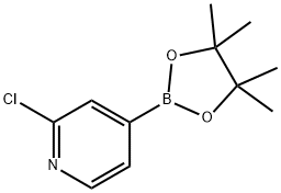 2-クロロピリジン-4-ボロン酸ピナコールエステル