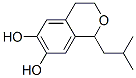 1H-2-Benzopyran-6,7-diol, 3,4-dihydro-1-(2-methylpropyl)- (9CI)|