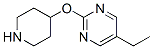 Pyrimidine, 5-ethyl-2-(4-piperidinyloxy)- (9CI) 结构式