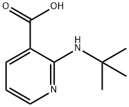 2-(叔丁基氨基)烟酸 结构式