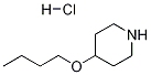 460365-20-2 4-BUTOXYPIPERIDINE HYDROCHLORIDE