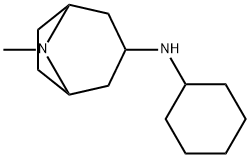 N-cyclohexyl-8-methyl-8-azabicyclo[3.2.1]octan-3-amine Struktur