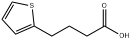4-(2-チエニル)ブタン酸 化学構造式