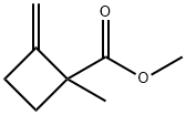 Cyclobutanecarboxylic acid, 1-methyl-2-methylene-, methyl ester (9CI) Structure