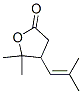 4,5-ジヒドロ-5,5-ジメチル-4-(2-メチル-1-プロペニル)フラン-2(3H)-オン 化学構造式